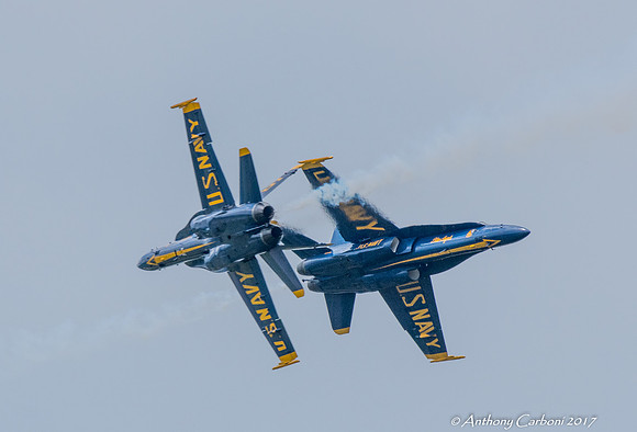 _DSC3523