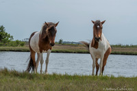 POD060121_DSC3925