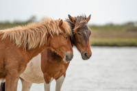 POD052521_DSC3941