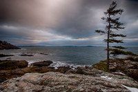 POD012918_DSC0948_HDR