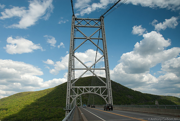 _DSC5880